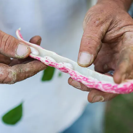 Montanema Handmade Village