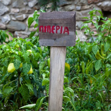 Montanema Handmade Village