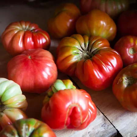 Montanema Handmade Village 4*