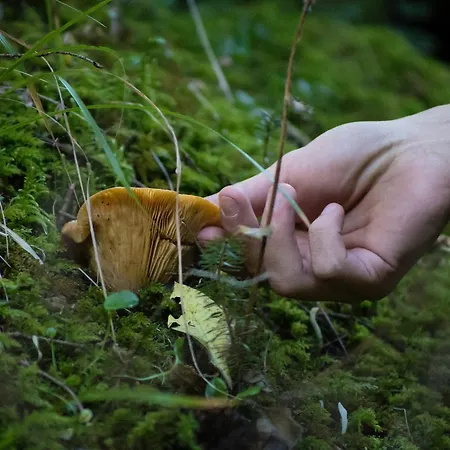 Montanema Handmade Village Aparthotel